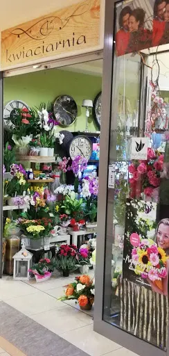 KWIACIARNIA KROSNO ŚWIAT ALKOHOLI KROSNO